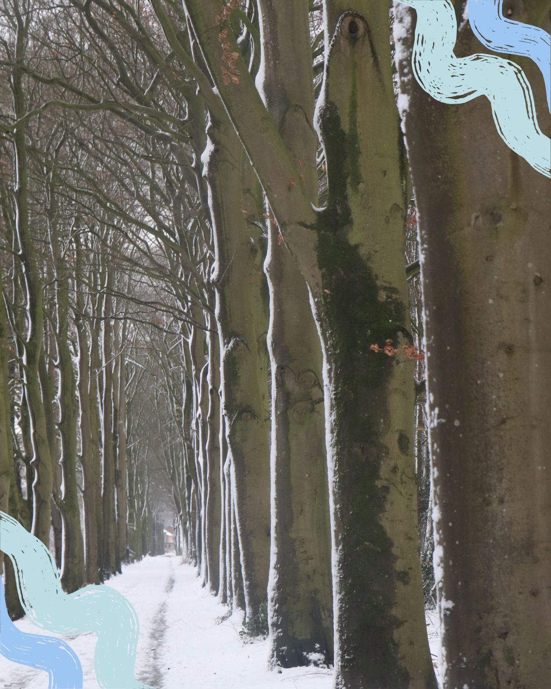 Mijn lichtpuntjes van januari