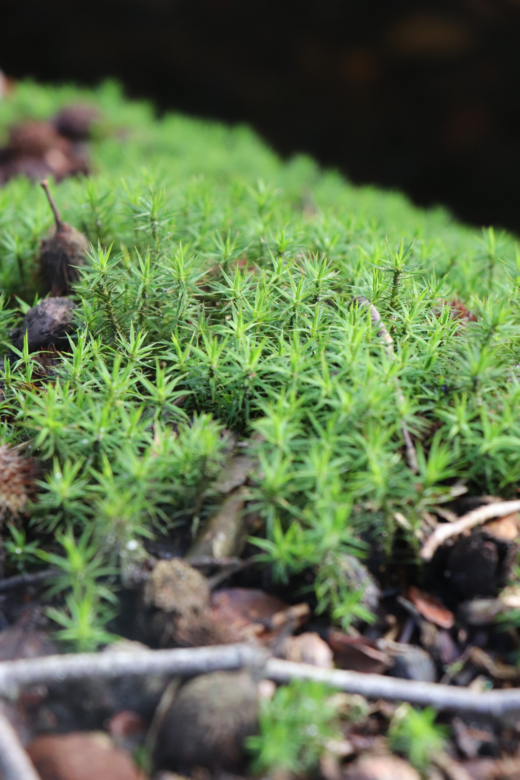 De kleine genietmomentjes waarderen