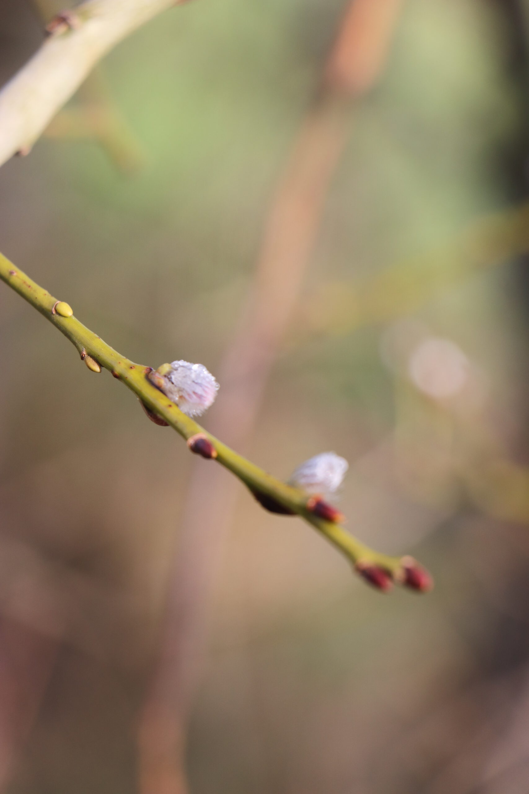 Wat ik leerde van falen en waarom het nodig was
