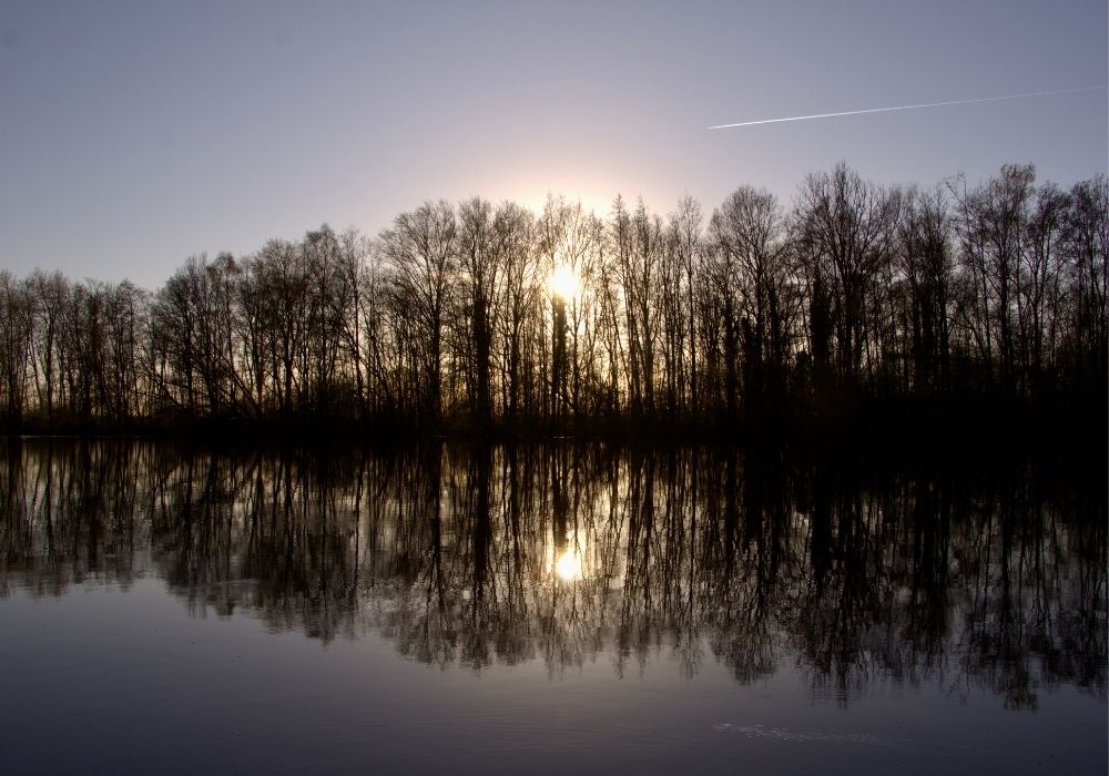 De dag loslaten: wat een avondwandeling je kan leren